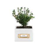 OTTO Storage Canister | White
