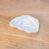 Oyster Tidbit Dish Pearl