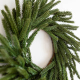 Norfolk Pine Real Touch Wreath - 12"