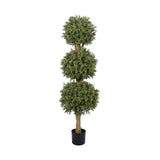 Boxwood Triple Ball Topiary