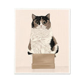 Cat in Box Dishcloth