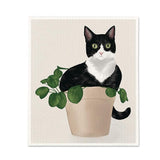 Cat in Plant Dishcloth