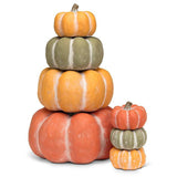 Matte Low Pumpkin