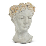 Aphrodite Head Plantar