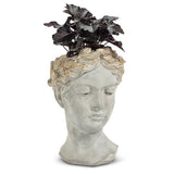 Aphrodite Head Plantar