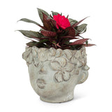 Kissing Face Planter