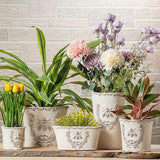 Emboss Bee in Crest Planter