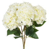 Hydrangea Bouquet
