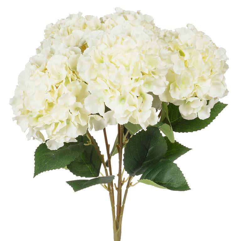 Hydrangea Bouquet