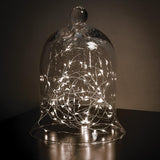 Bell Shaped Cloche