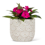Large Round Daisy Planter
