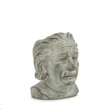 Small Einstein Head Planter