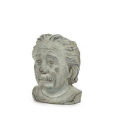 Small Einstein Head Planter