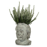 Small Einstein Head Planter