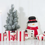 Snowman Shape Plate