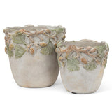 Pinecone Rim Planter