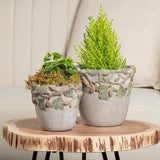 Pinecone Rim Planter