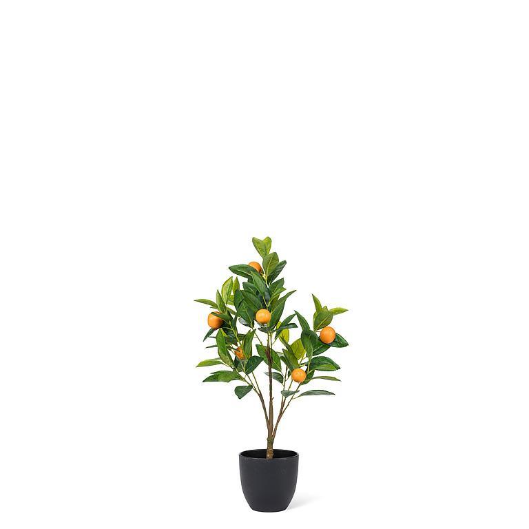 Topiary Orange Tree