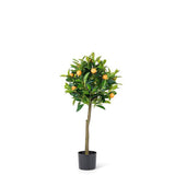 Topiary Orange Tree