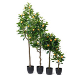 Topiary Orange Tree