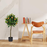 Topiary Orange Tree