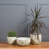 Lavender & Greenery Planter