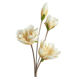 Desert Four Bloom Magnolia Stem