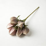 Desert Pinched Multi Pod Bouquet