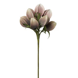 Desert Pinched Multi Pod Bouquet
