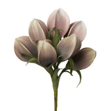Desert Pinched Multi Pod Bouquet