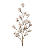 Cherry Blossom Stem