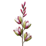Desert Pink Magnolia Spray