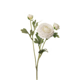 Ranunculus Stem| 19 Inch
