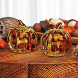 Pumpkin Salt & Pepper Shaker Set