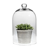 Classic Shaped Cloche