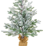 Norway Spruce Table Top Tree