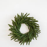 Norfolk Pine Real Touch Wreath - 12"