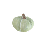 Chalky Green Pumpkin