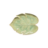 Marrakesh Eucalyptus Monstera leaf
