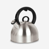 Stainless Steel Tea Kettle | 2QT