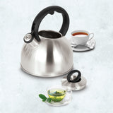 Stainless Steel Tea Kettle | 2QT