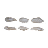 Shell Shaped Dish