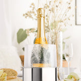 Stainless steel ice bottle chiller