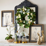Real Touch White Orchid with Moss Ball