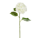 Snowy Ivory Hydrangea Stem