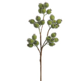 Iced Green Berry Spray