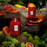 Small Jar Candle | Goji Tarocco Orange