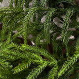 4.5" Fresh Touch Norfolk Pine Candle Ring