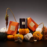 In Season Candle | Pumpkin Spiced Cake