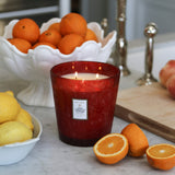 3 Wick Hearth Candle| Goji Tarocco Orange